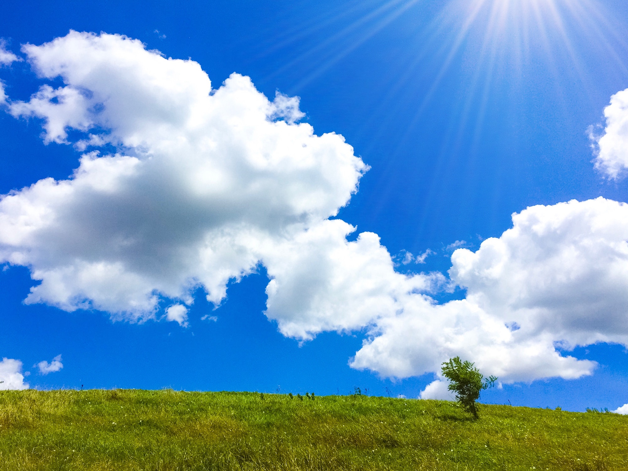 A green hill in an open field under a blue sky with the sun shining brightly.